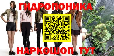 сатива Кунгур