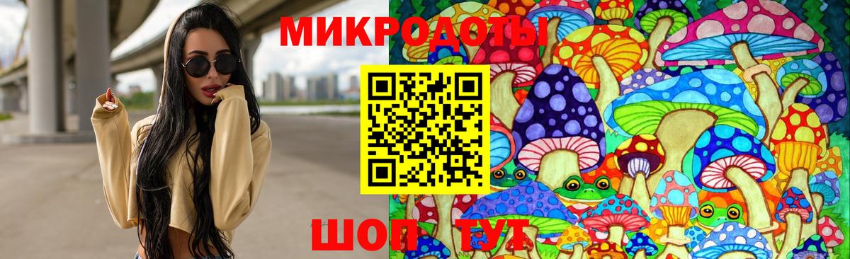 Псилоцибиновые грибы Psilocybe  Вход с VPN  Красный Сулин 
