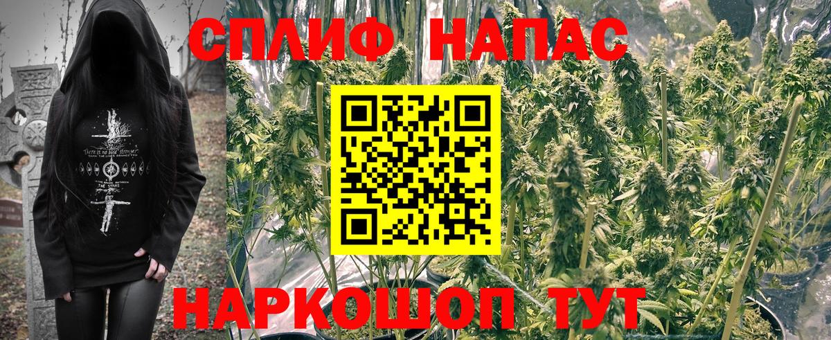 Конопля конопля Красный Сулин